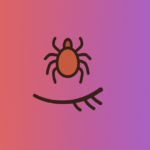 Woman Finds Tick in Daughter's Eyelashes