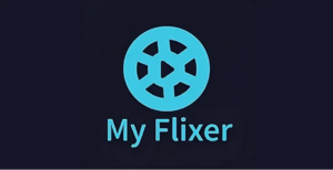 the flixer